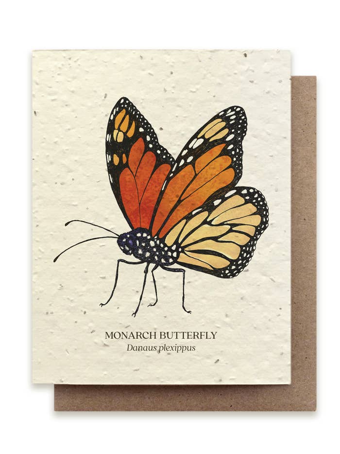 Plantable Seed Cards - PerenniaLeigh