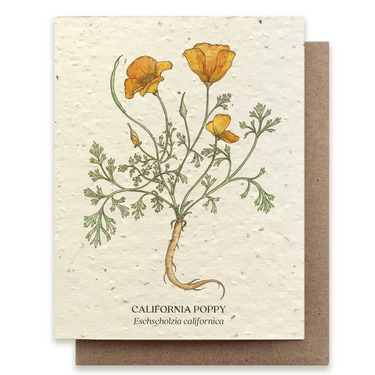 Plantable Seed Cards - PerenniaLeigh